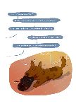 Psywestern1
